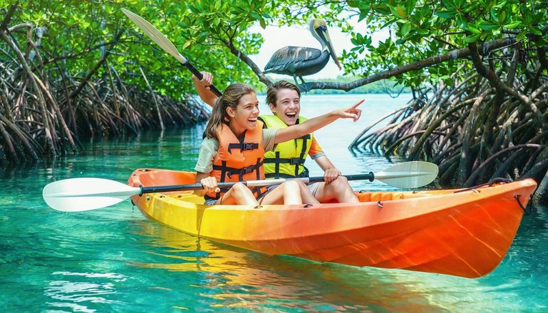 Teens kayak through the mangroves in Puerto Rico